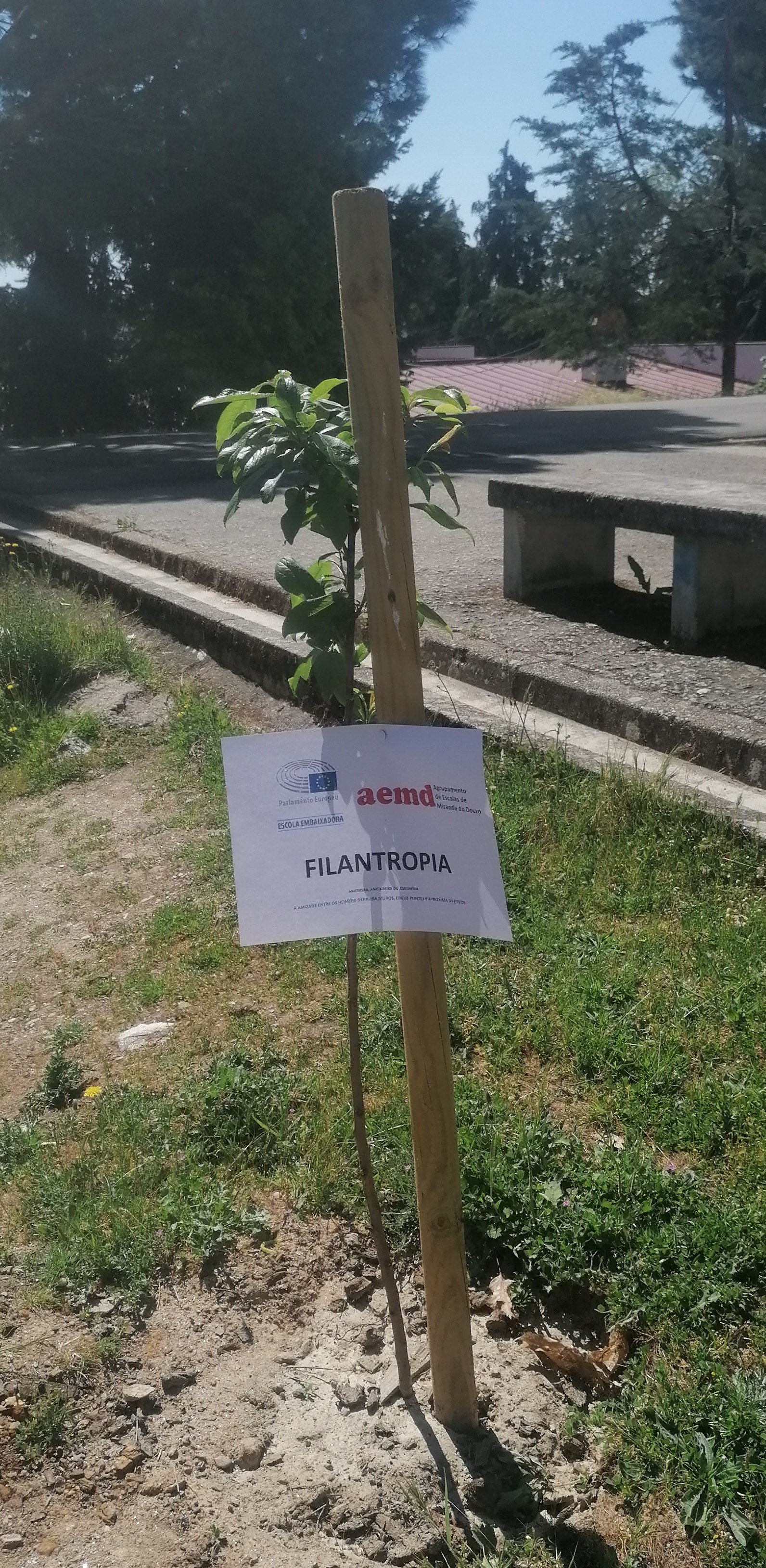 filantropia